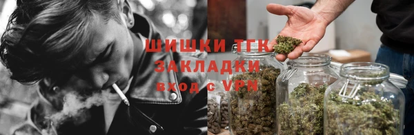 прущие грибы Беломорск