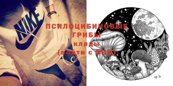 гашик Богородск