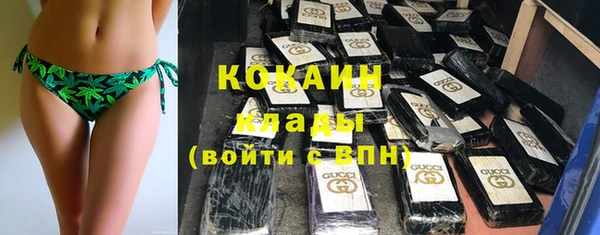 твердый Богородицк