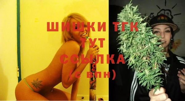 дживик Сосновка