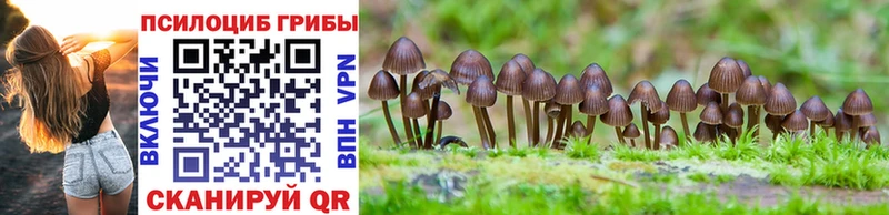 Галлюциногенные грибы мухоморы Очёр